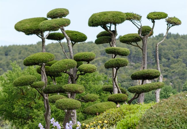 Villa à Pernes les Fontaines - Maison Cécile Villa à Pernes les Fontaines - Maison Cécile