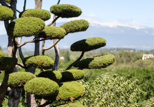 Villa à Pernes les Fontaines - Maison Cécile Villa à Pernes les Fontaines - Maison Cécile