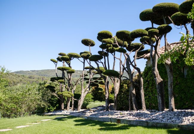 Villa à Pernes les Fontaines - Maison Cécile Villa à Pernes les Fontaines - Maison Cécile