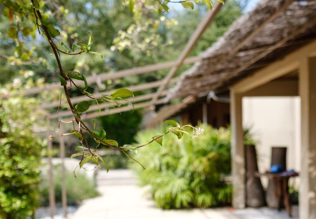 Villa in Pernes les Fontaines - Maison Caroline Villa in Pernes les Fontaines - Maison Caroline