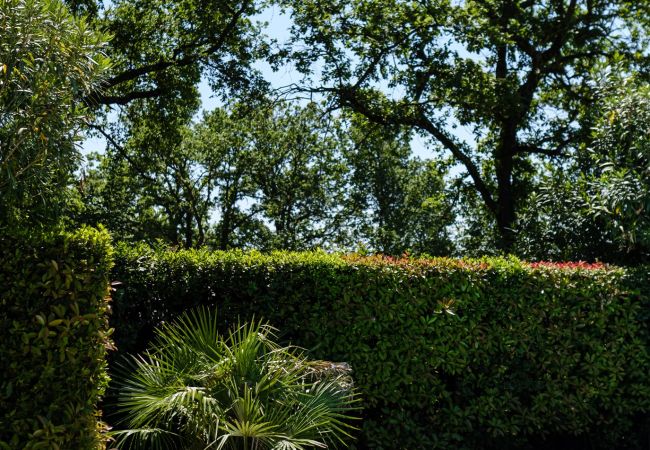 Villa in Pernes les Fontaines - Maison Caroline Villa in Pernes les Fontaines - Maison Caroline