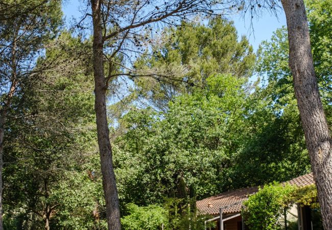 Villa in Pernes les Fontaines - Maison Caroline Villa in Pernes les Fontaines - Maison Caroline
