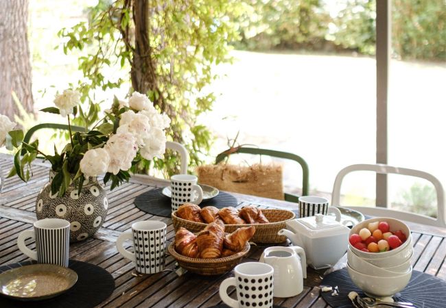 Villa in Pernes les Fontaines - Maison Caroline Villa in Pernes les Fontaines - Maison Caroline