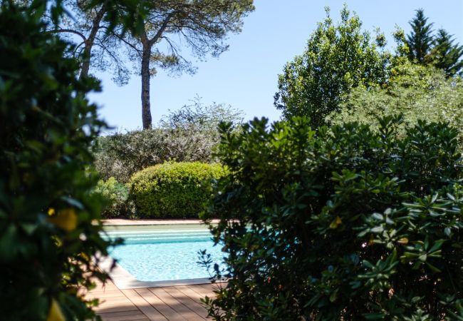 Villa in Pernes les Fontaines - Maison Capucine Villa in Pernes les Fontaines - Maison Capucine