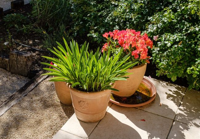 Villa in Pernes les Fontaines - Maison Capucine Villa in Pernes les Fontaines - Maison Capucine